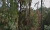 2665 Rushland Landing Rd photo